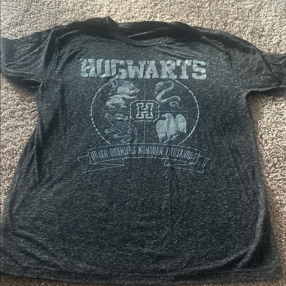 Harry Potter Hogwarts school of witchcraft and wizardry Graphic T-Shirt - Picture 1 of 4